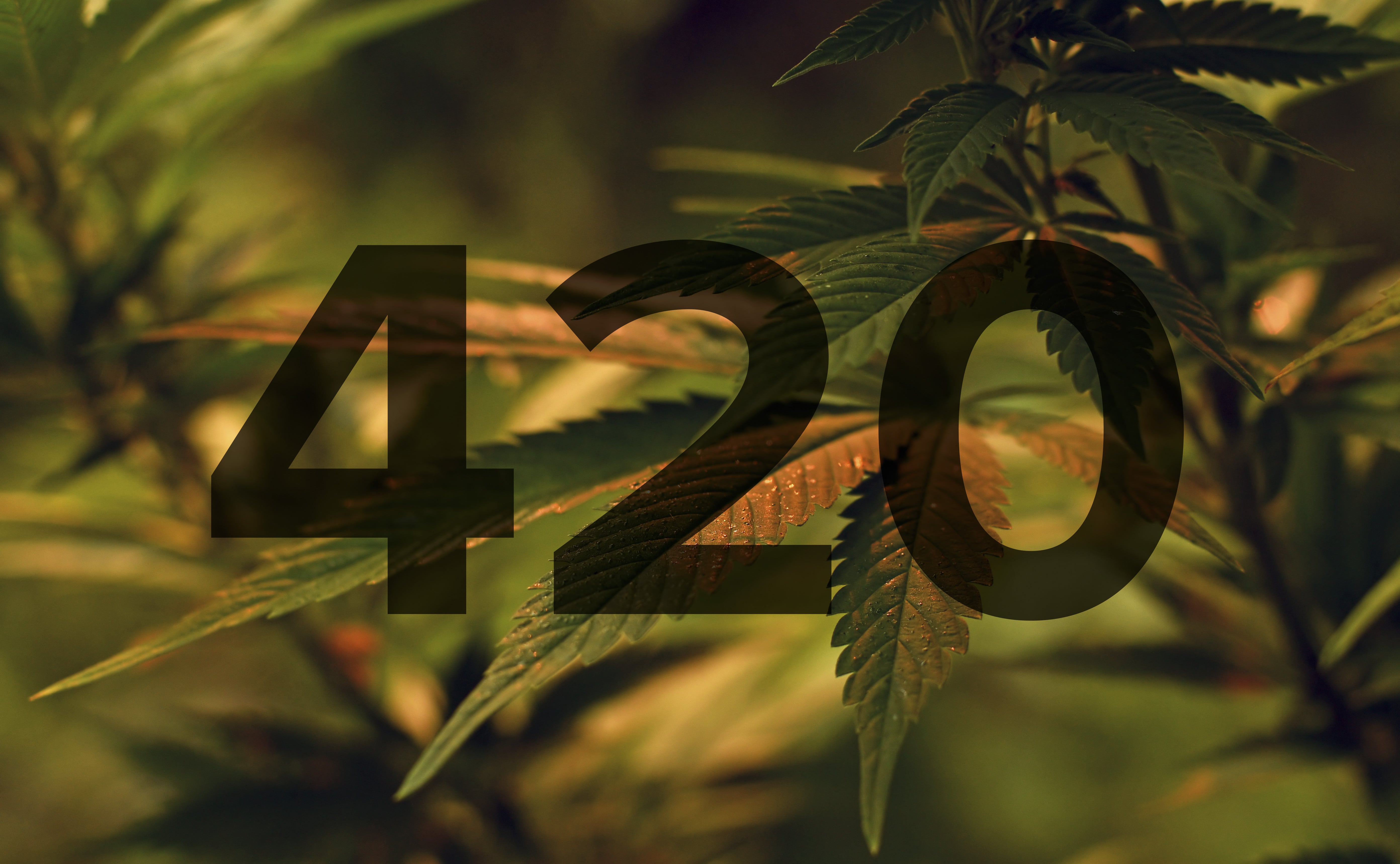 meaning for 420